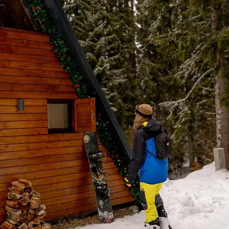 Viktorija 科帕奥尼克